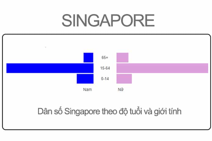 Cơ cấu tuổi Singapore
