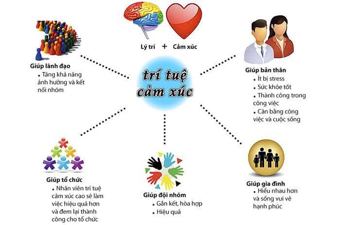 cân bằng trí tuệ và cảm xúc