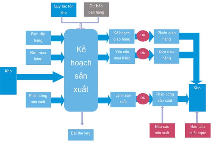 CPO triển khai kế hoạch sản xuất