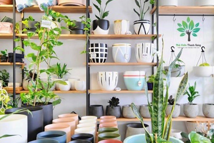 Kinh doanh cây cảnh để bàn