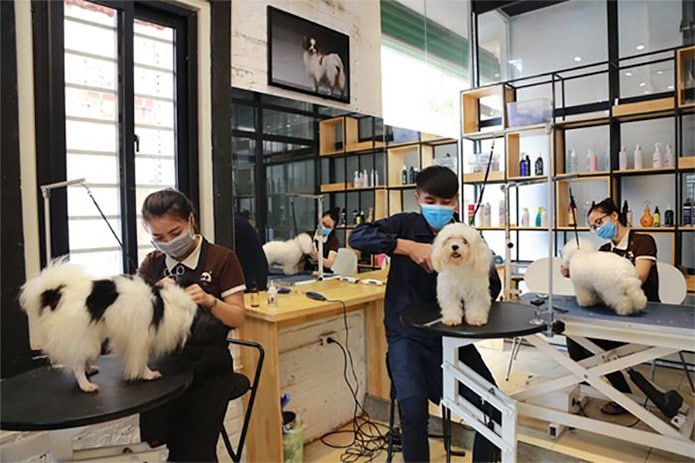Phòng dịch vụ chăm sóc thú cưng