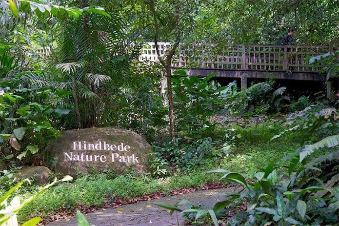 Khu bảo tồn thiên nhiên Bukit Timah