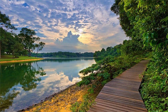 Khu bảo tồn thiên nhiên MacRitchie Reservoir