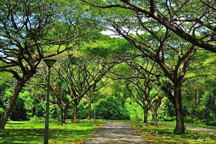 Pasir Ris Park