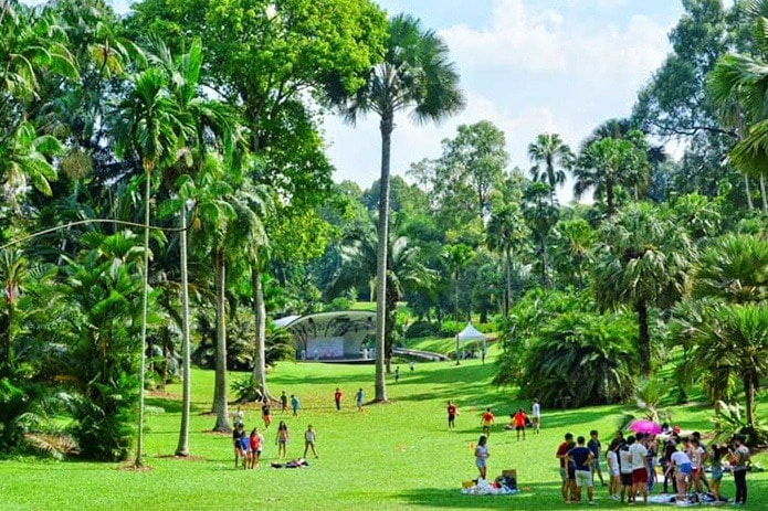 Vườn bách thảo Singapore Botanic Gardens