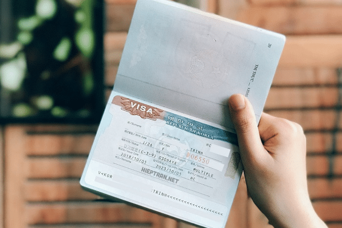 Visa là gì