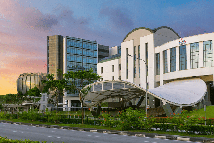 SIM International Academy (SIM IA)
