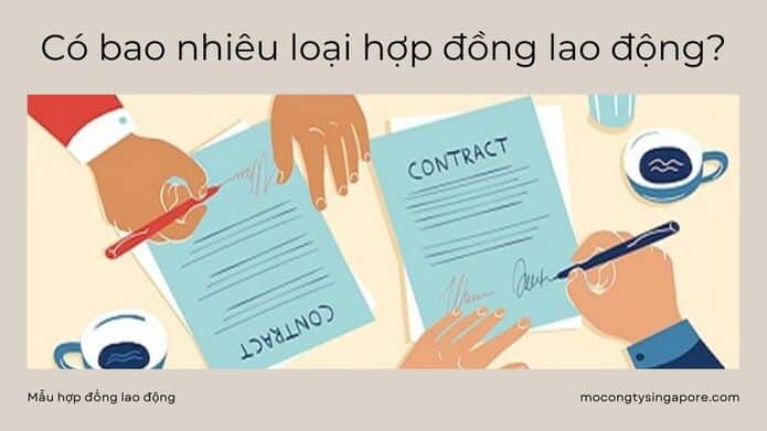 các loại hợp đồng lao động