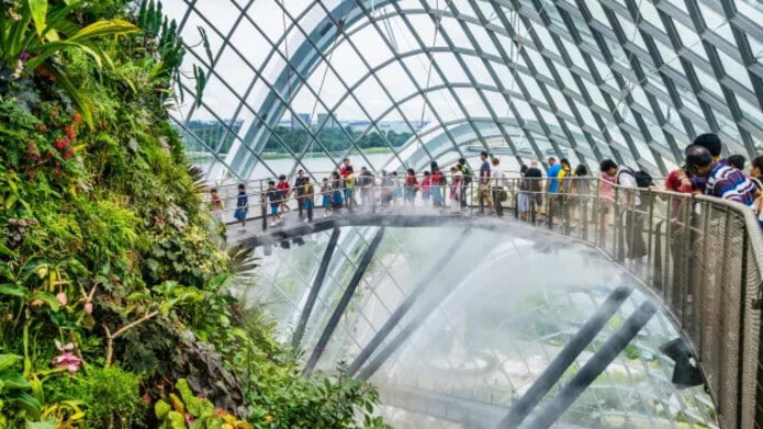 Địa điểm sống ảo ở Singapore - Cloud Forest