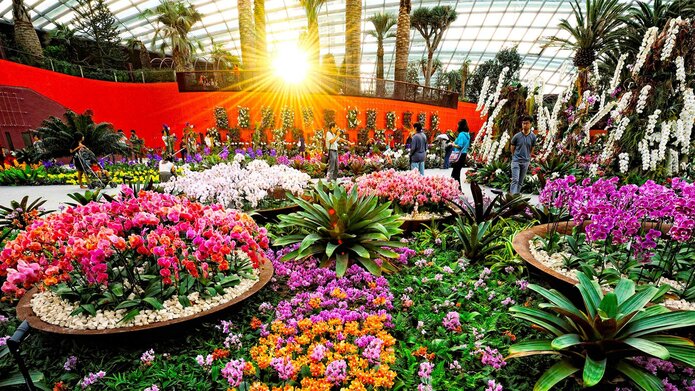 Địa điểm sống ảo ở Singapore - Flower Dome