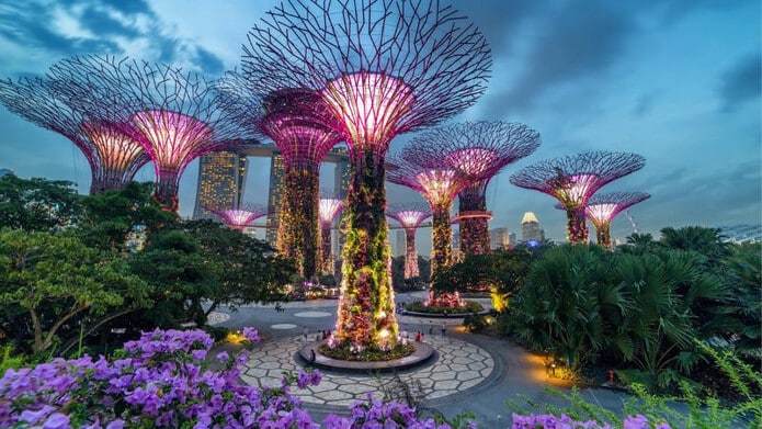 Địa điểm sống ảo ở Singapore - Gardens By The Bay