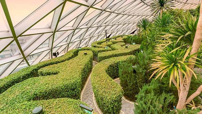 Địa điểm sống ảo ở Singapore - Hedge Maze