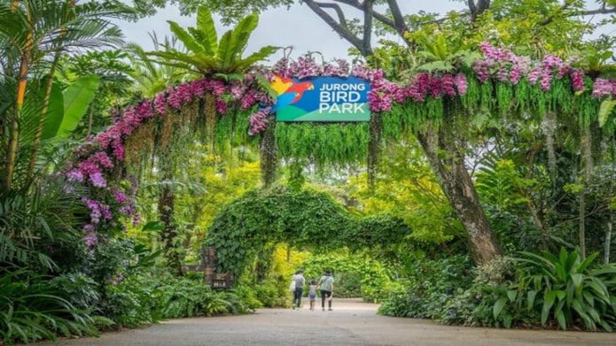 Địa điểm sống ảo ở Singapore - Jurong Bird Park