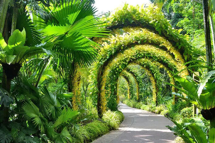 Địa điểm sống ảo ở Singapore - Vườn Hoa Quốc Gia