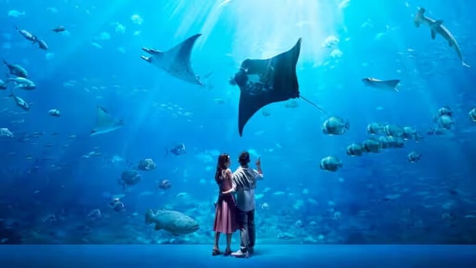 Địa điểm sống ảo ở Singapore - S.E.A. Aquarium