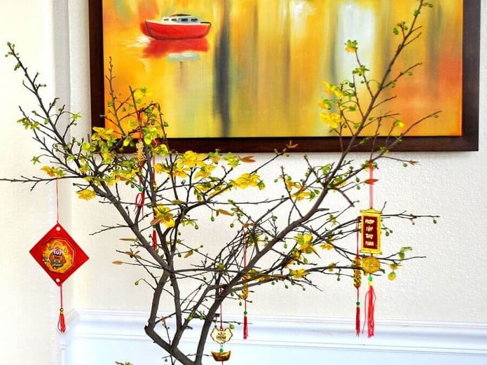 Gần Tết, nên kinh doanh cây cảnh cây mai trang trí