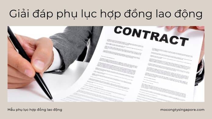 Giải đáp phụ lục hợp đồng lao động