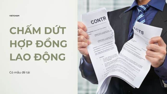 mẫu chấm dứt hợp đồng lao động thumbnail