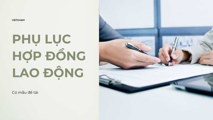 mẫu phụ lục hợp đồng lao động