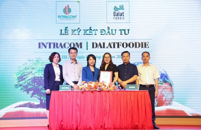 shark Việt lãnh đạo Intracom Group