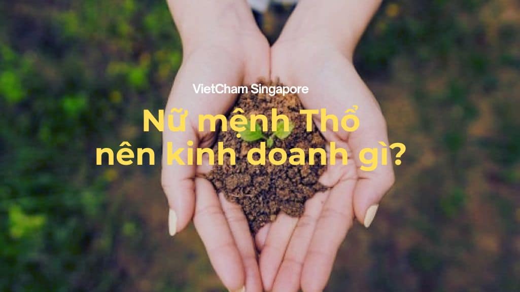 các ngành nghề mệnh thổ nên kinh doanh