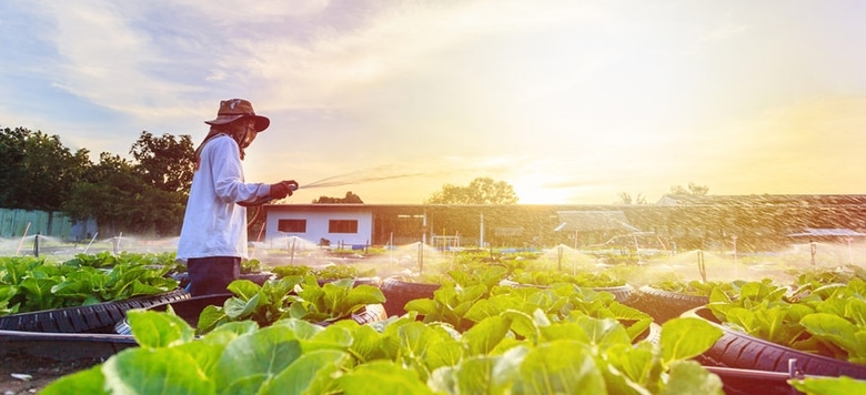 Lợi thế và thách thức khi kinh doanh ở nông thôn
