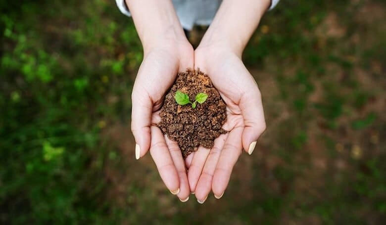 Nữ mệnh Kim hợp nghề mệnh Thổ