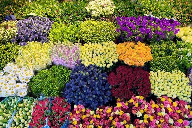 Kinh doanh hoa với vốn 30 triệu