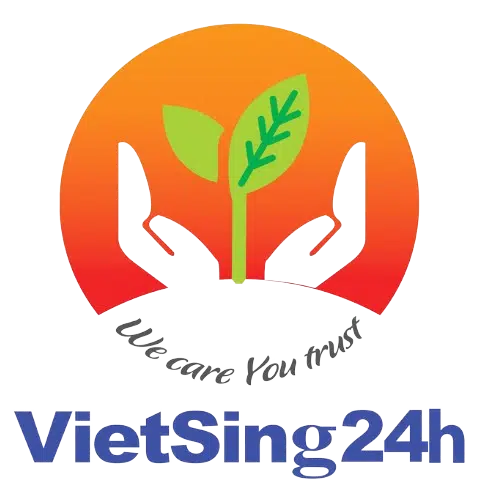 vietsing24h-logo VietSing24h