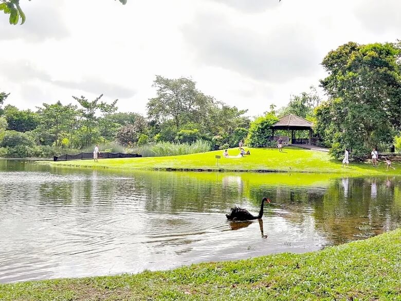 Hồ Thiên nga