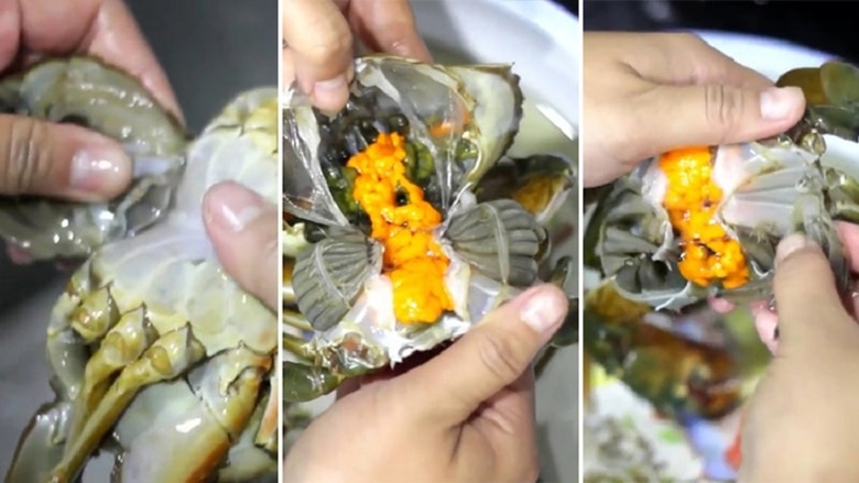 Sơ chế cua biển tươi sống