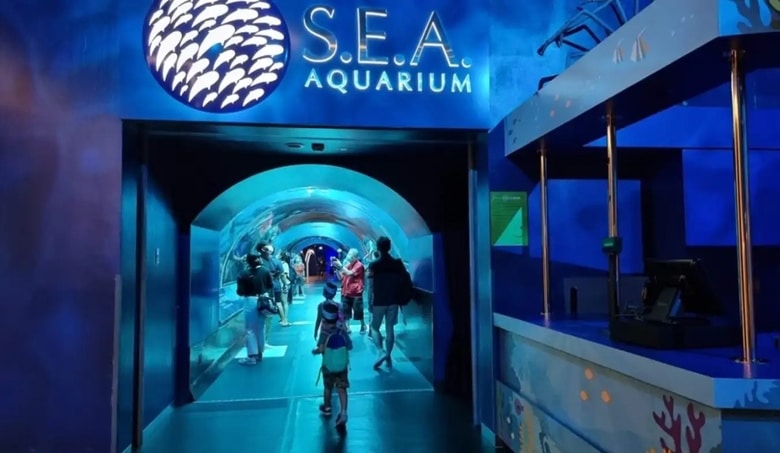 Giá vé thủy cung Sea Aquarium
