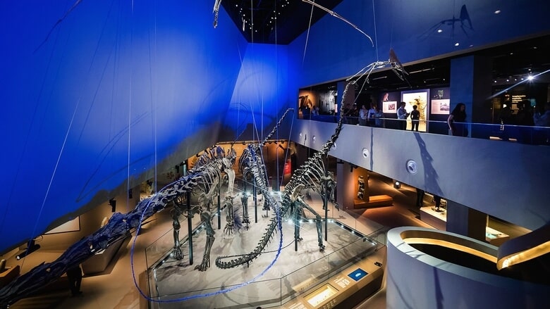 Lee Kong Chian Natural History Museum Singapore