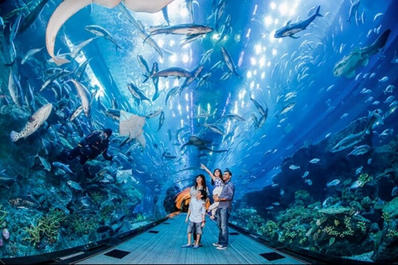 Lưu ý khi tham quan Sea Aquarium