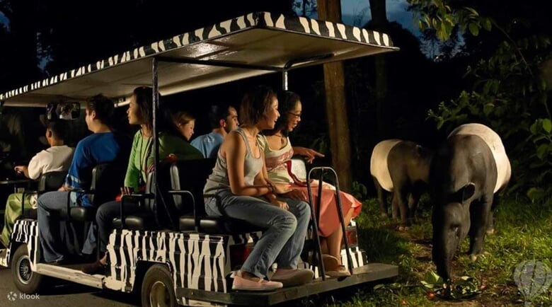 Tham gia tour Night Safari