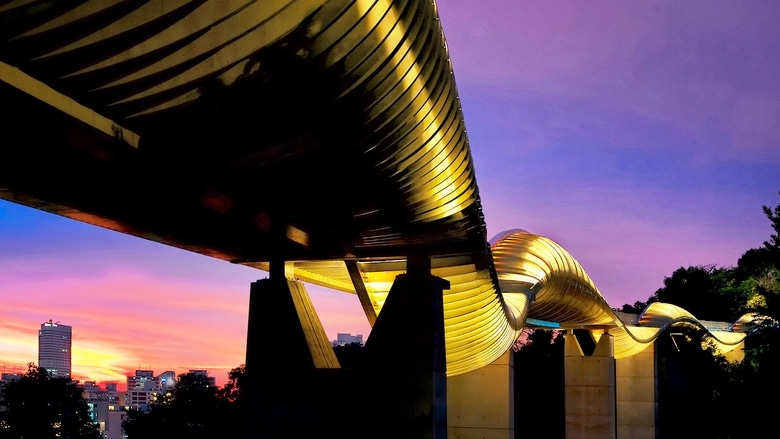 Cầu Henderson Waves về đêm