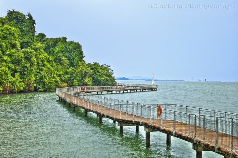 ChekJawa