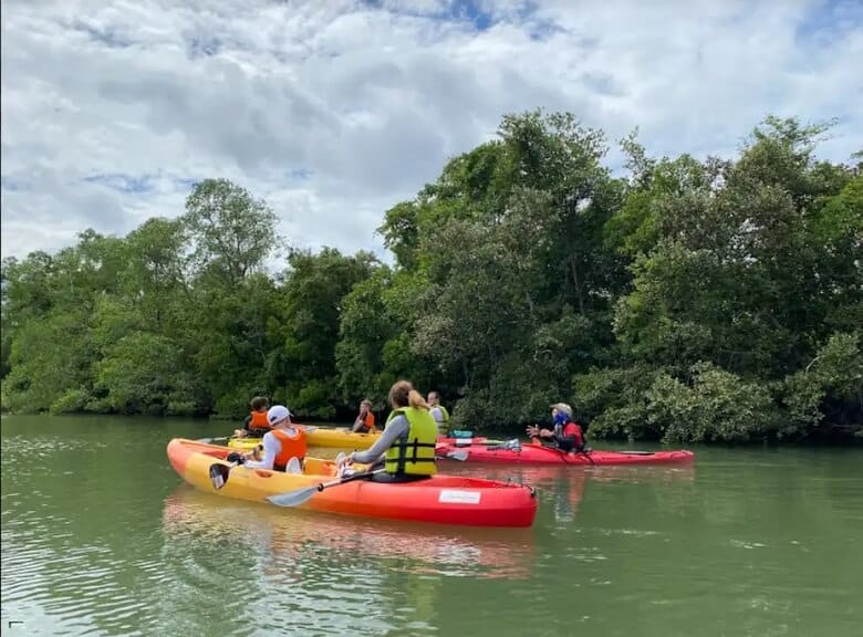 Chèo thuyền Kayak