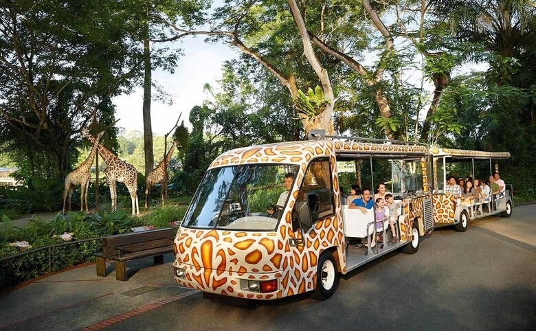 Dạo quanh sở thú bằng xe điện
