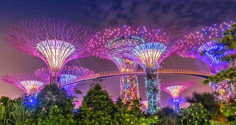 Gardens By The Bay về đêm