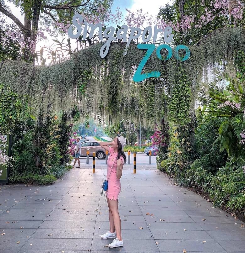 Nên ghé Singapore Zoo vào mùa nào