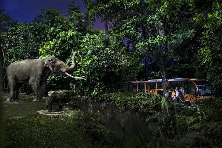 Sở thú đêm Night Safari
