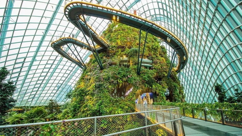 Khu vực Cloud Forest