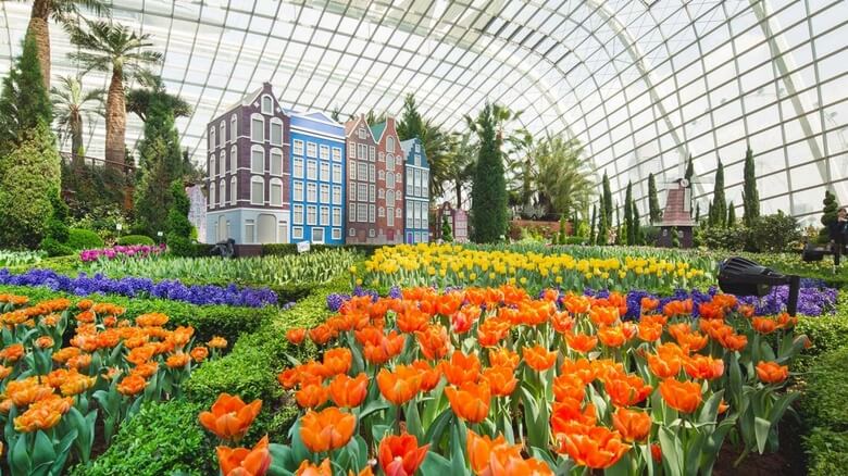 Khu vực Flower Dome