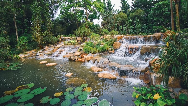 Khu vực Kingfisher Wetlands