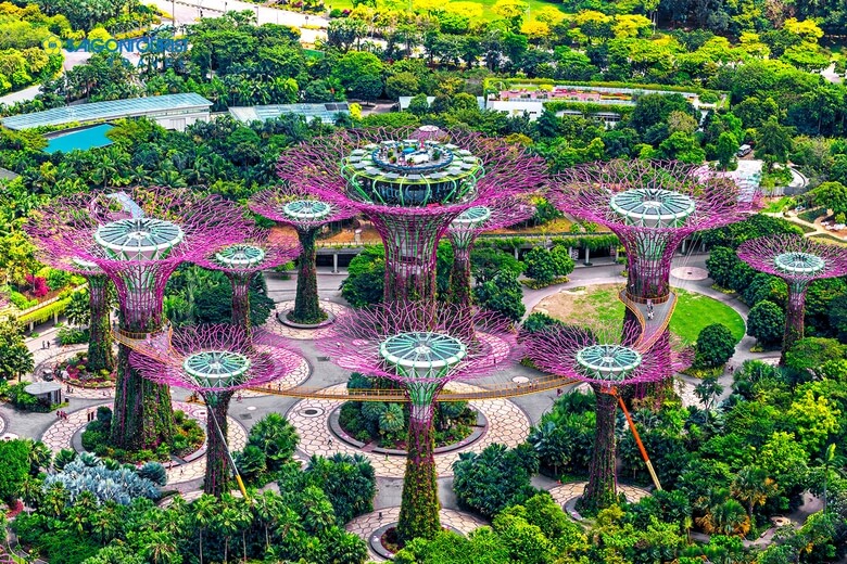 Khu vườn Gardens By The Bay Singapore