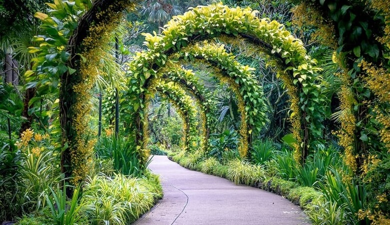 Vườn Healing Garden